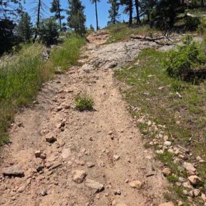 Test post for design